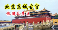 大屌插插骚穴中国北京-东城古宫旅游风景区